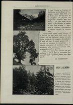 giornale/CFI0346061/1917/n. 001/12